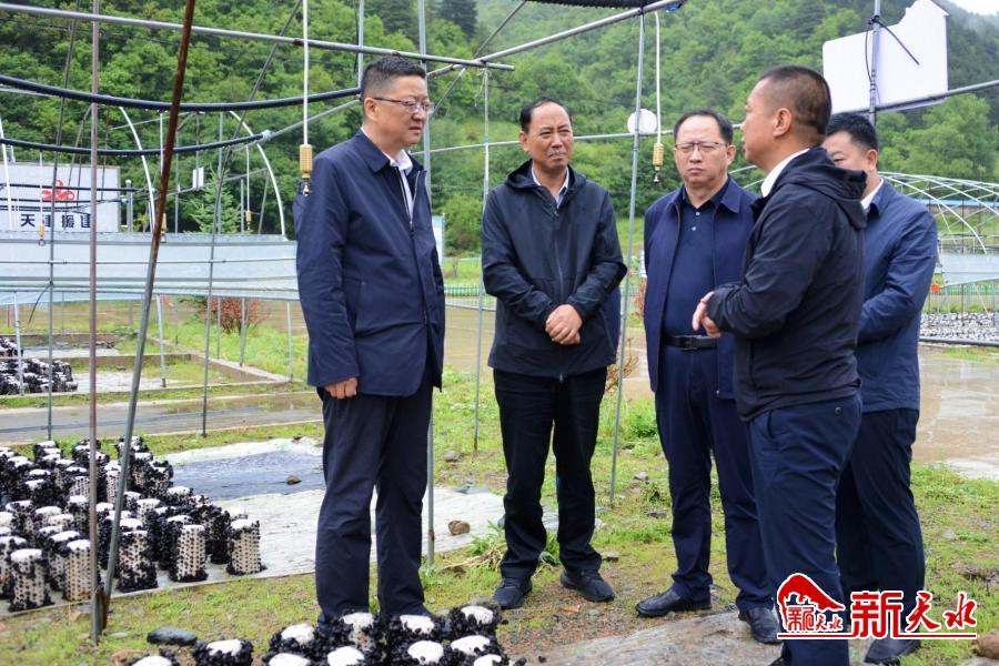 香港免费资料六会宝典